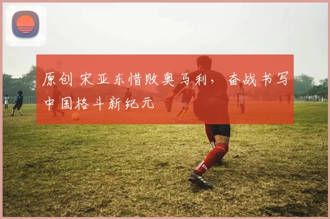 原创 宋亚东惜败奥马利，奋战书写中国格斗新纪元