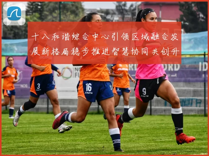 十八和谐综合中心引领区域融合发展新格局稳步推进智慧协同共创升